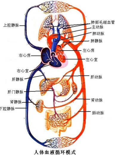 圖片14.png